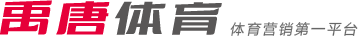 略以及未来