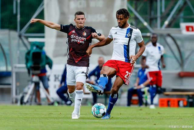 山东泳坛的 山东泳坛的